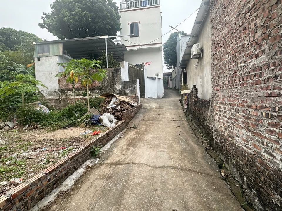 Đất nền Phụng Châu, Chương Mỹ 71m² giá thỏa thuận - Khu dân cư đông đúc!