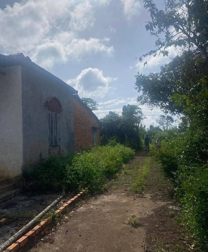 Đất nền 1440m² tại xã Quảng Hiệp, huyện Cư M'gar - Giá chỉ 1 tỷ VND!