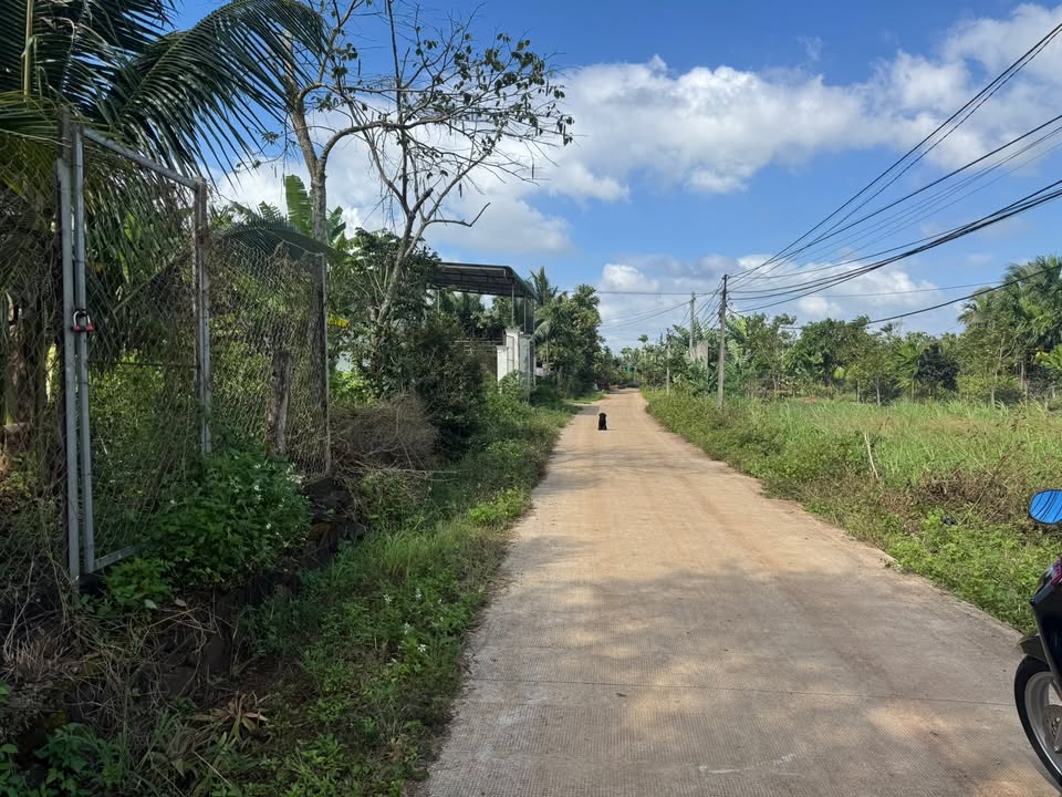 Đất nền Quảng Phú Cư M'gar 144m² giá 110 triệu - Vị trí đẹp, thoáng mát!