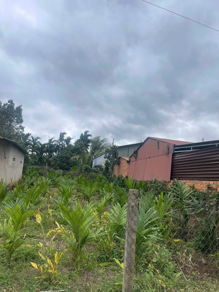 Đất mặt tiền đường Y Wang nối dài, P. Ea Kao, TP. Buôn Ma Thuột 280m² - Tiềm năng tăng giá cao!