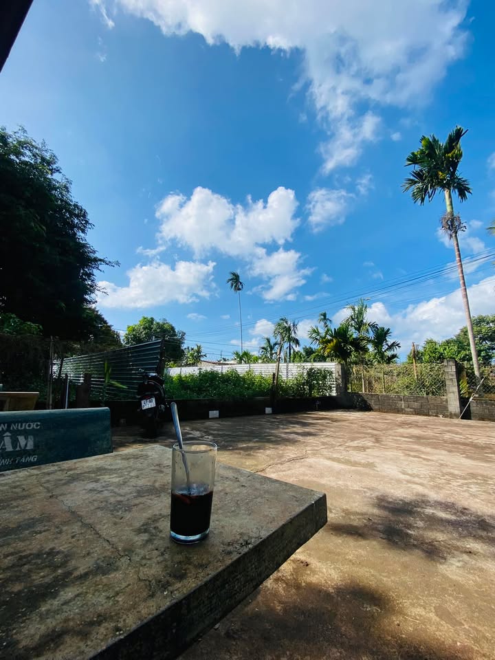 Đất nền Tân Hòa - Phạm Văn Đồng 125m² giá 1.35 tỷ - Vị trí đắc địa gần chợ!