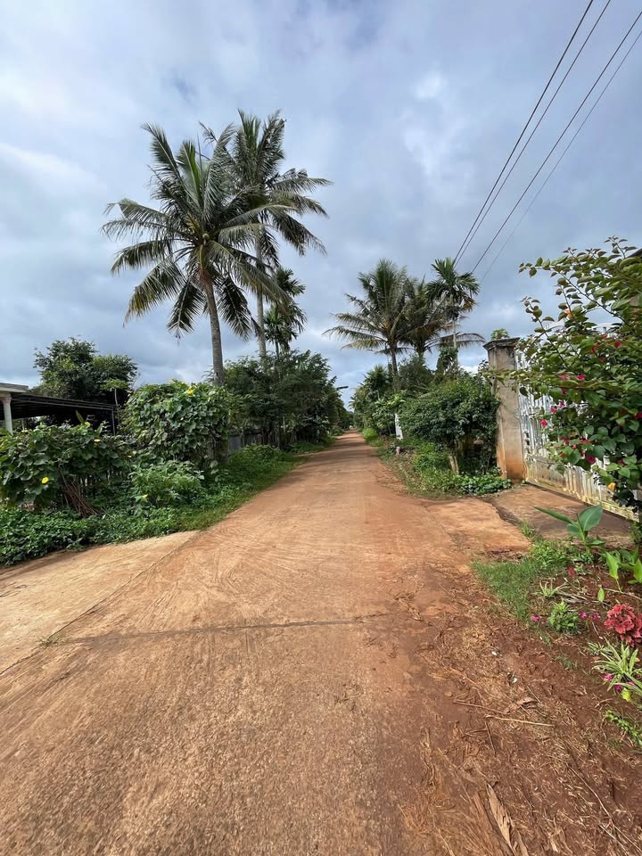 Bán đất mặt tiền đường N7, xã Ea Tu, Buôn Ma Thuột 100m² - Vị trí đắc địa, tiềm năng tăng giá!