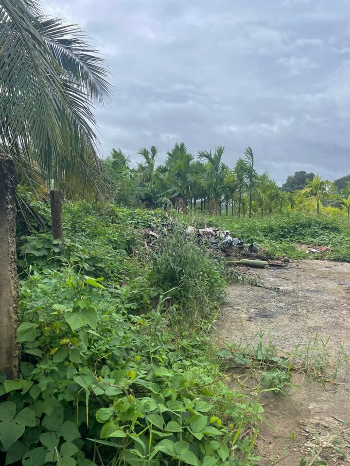 Đất hẻm 194 Nguyễn Lương Bằng, Tân Lập, Buôn Ma Thuột 126m² giá 2.1 tỷ - Hẻm ô tô, gần sân bay!