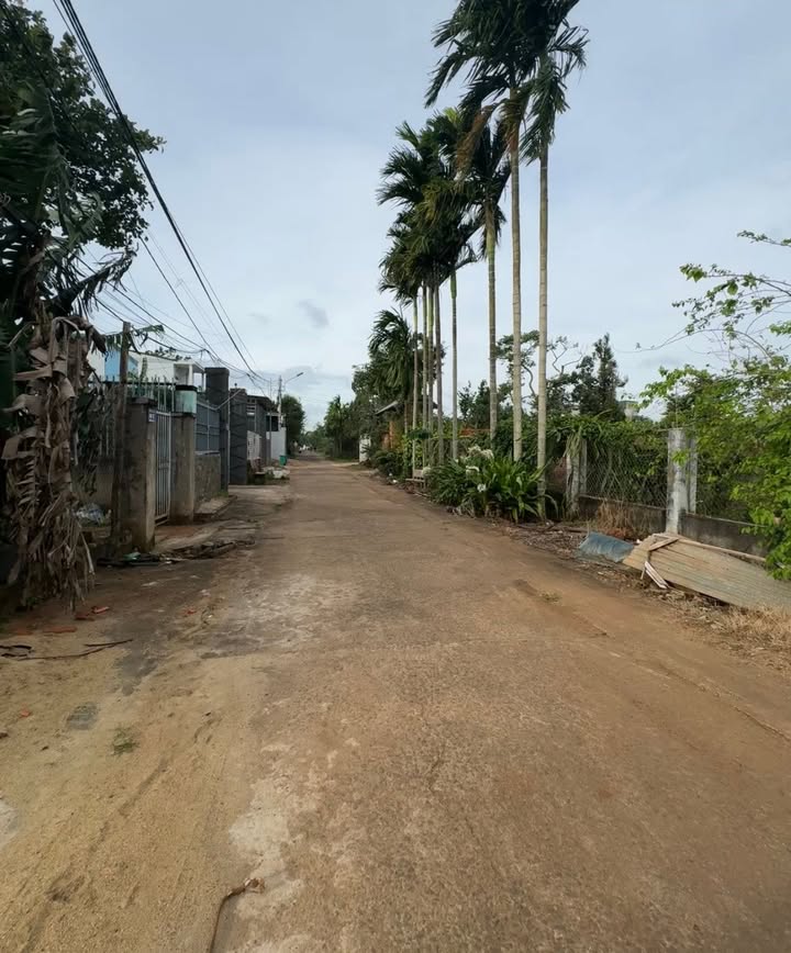 Đất mặt tiền N7 Nguyễn Xuân Nguyên Tân An 60m² giá 1.95 tỷ - Đầu tư sinh lời ngay!