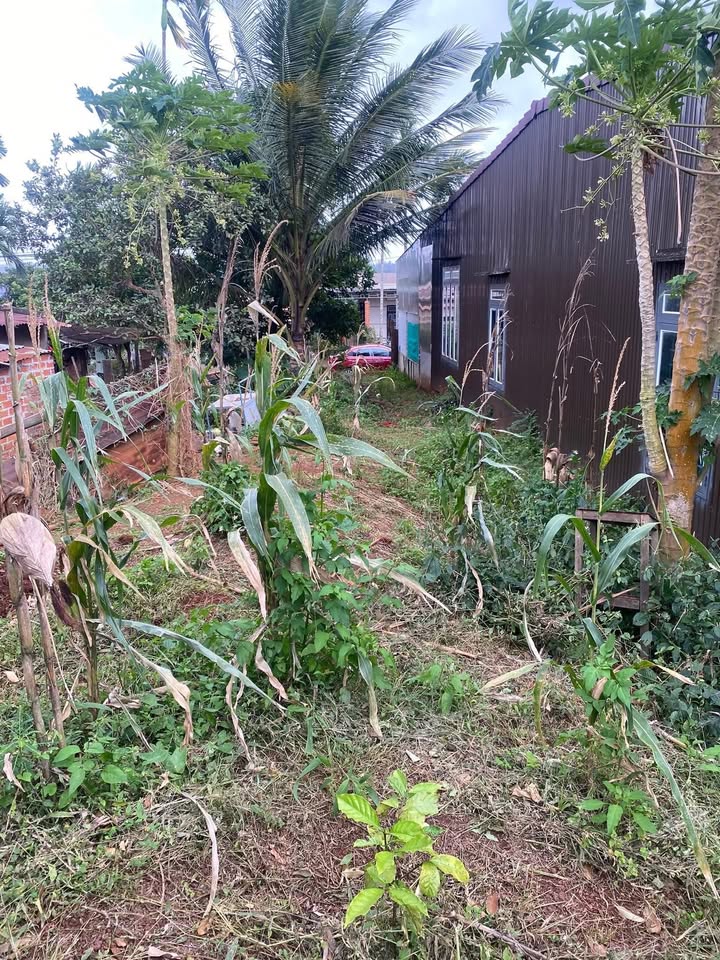 Đất nền Cư M'gar Đắk Lắk 400m² giá 1.65 tỷ - Cơ hội đầu tư sinh lời!