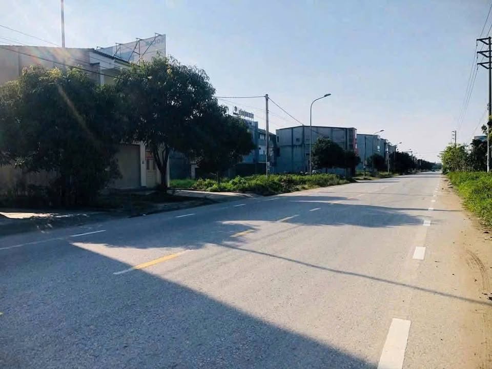 Đất Mặt đường Hồng Liễu 126m² giá 3.99 tỷ - Vị trí trung tâm thích hợp đầu tư!