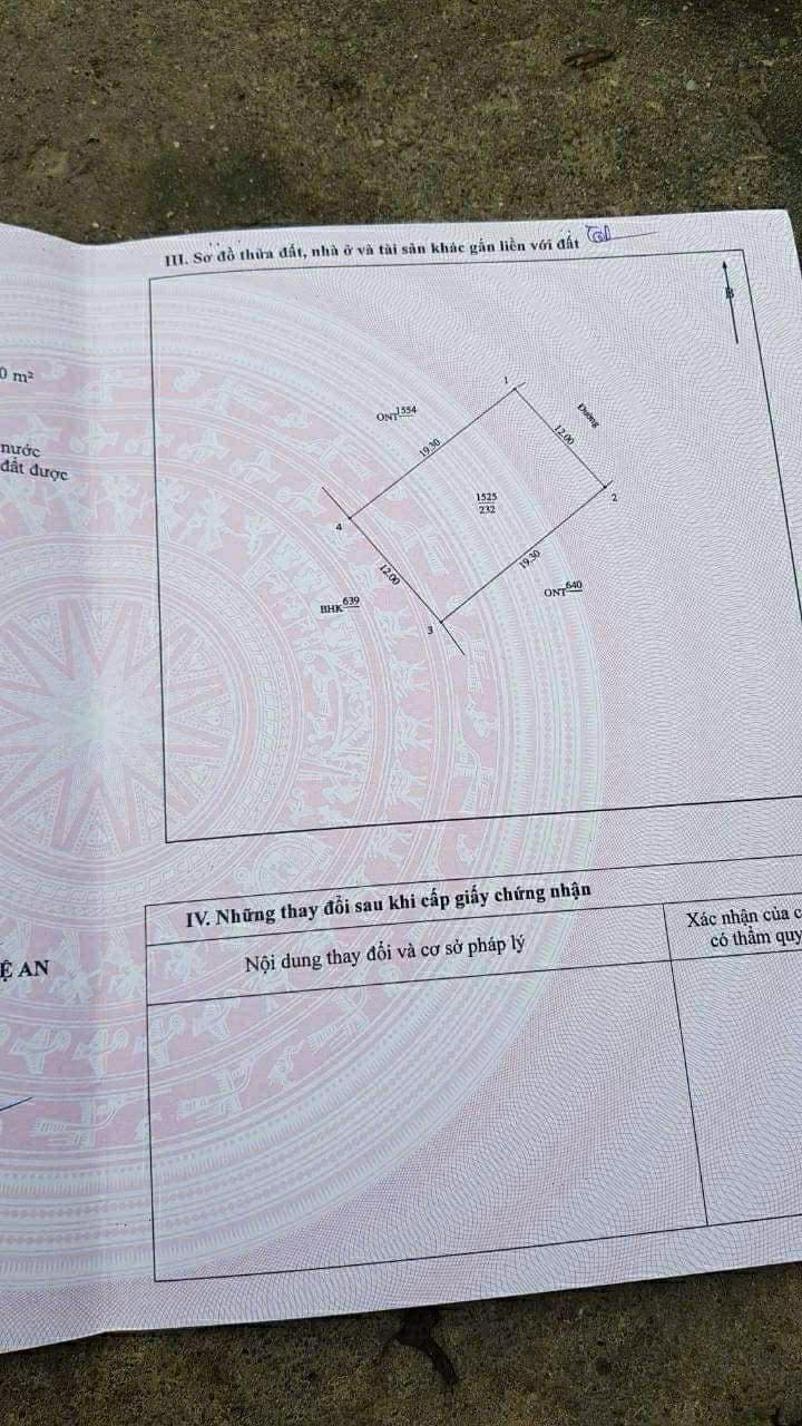 Đất nền Thái Hòa, Nghệ An 232m² giá 3.042 tỷ - Đường nhựa 7m thuận lợi!