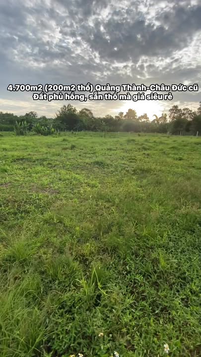 Đất nền 4.700m² tại Quảng Thành, Châu Đức - Giá chỉ 2.705 tỷ - Cơ hội đầu tư tuyệt vời!