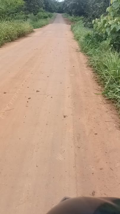 Đất nền 10.000m² xã Bình Minh, giá 1.6 tỷ - Đầu tư sinh lời ngay!