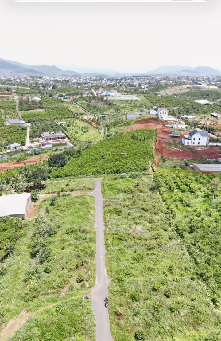 Đất nền Bảo Lộc 200m² giá 890 triệu - Cơ hội đầu tư tuyệt vời!