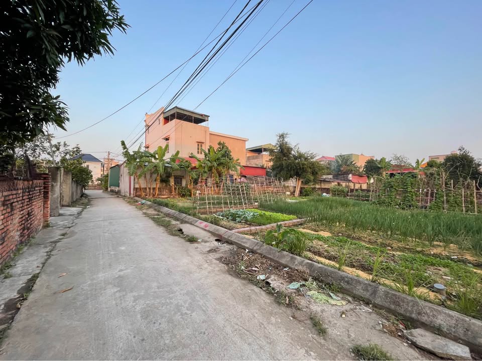 Đất nền Bình Xuyên Hải Dương 63m² giá 700 triệu - Tiềm năng đầu tư vượt trội!