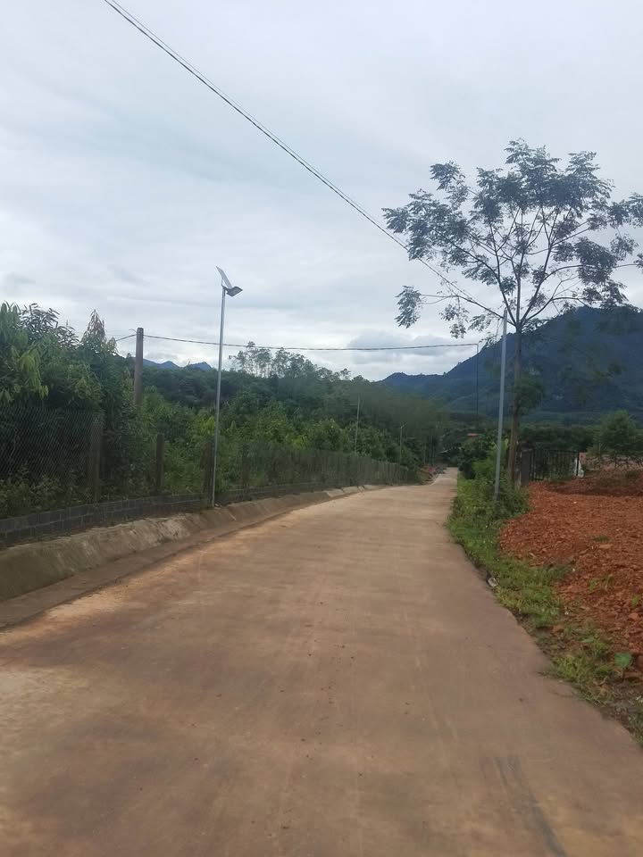 Đất Phúc Khánh Yên Lạc 8000m² giá 3 tỷ - Đầu tư sinh lời ngay!