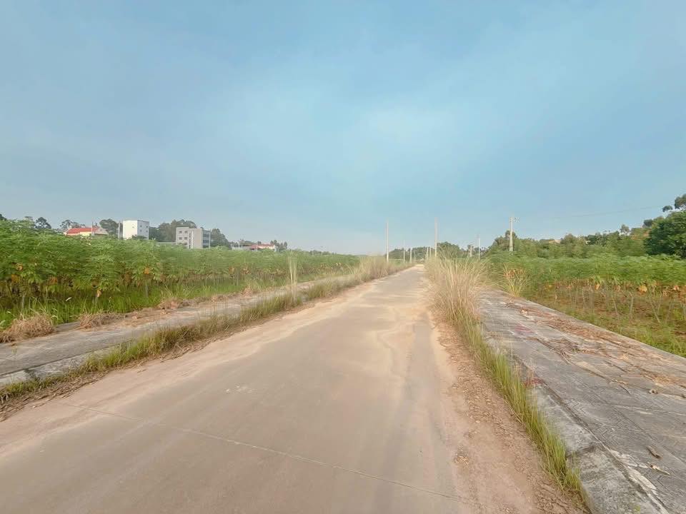 Đất đấu giá Tiên Kiên, Lâm Thao 100m² giá 800 triệu - Cơ hội đầu tư hấp dẫn!