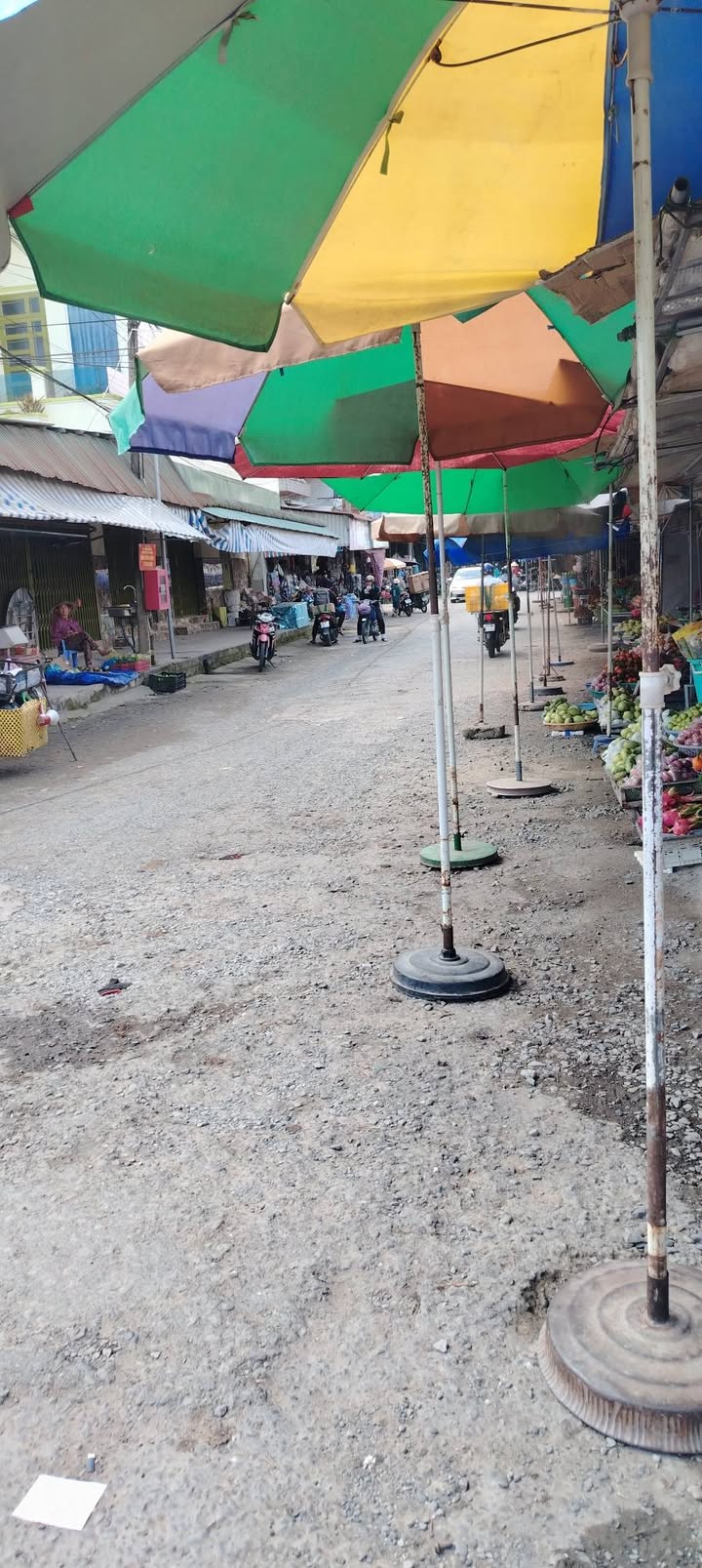 Đất nền chính chủ tại Chợ Đông Bình, Vĩnh Long 96m² chỉ 1.29 tỷ - Tiện ích hoàn hảo!