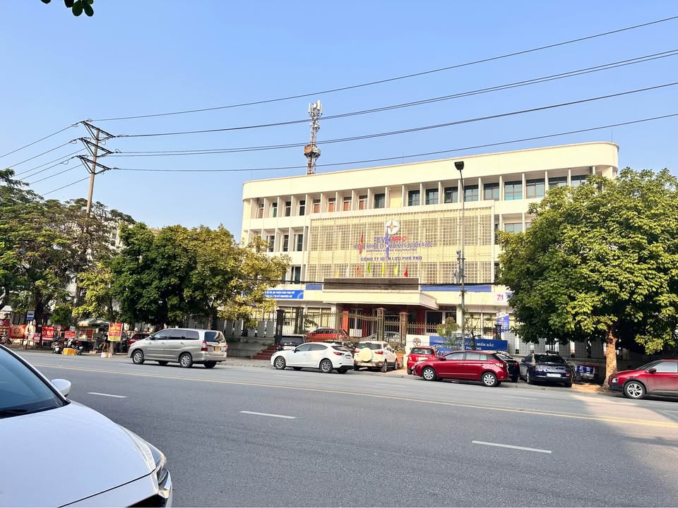 Đất nền 300m² Phường Việt Trì giá chỉ 7.8 tỷ - Khu trung tâm sôi động!