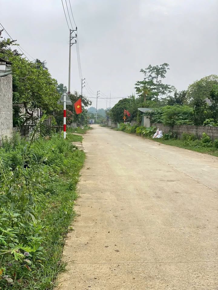 Đất nền Cư Yên Lương Sơn 1000m² - Chính chủ bán gấp, giá thỏa thuận!