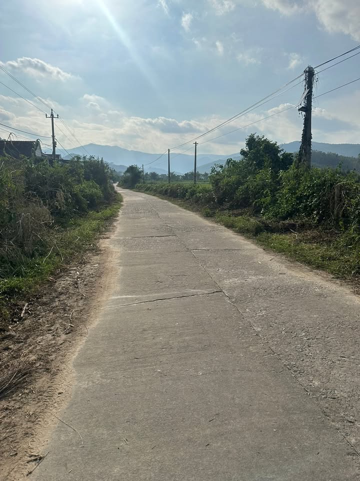 Đất nền Tây Phú, Tây Sơn 1.200m² - Tiềm năng phát triển lớn!