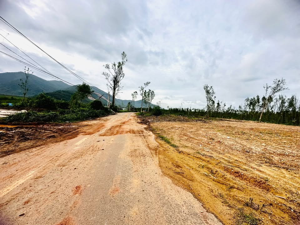 Đất thổ cư Nhơn Tân An Nhơn 200m² giá chỉ 400 triệu - Đường chính 16m