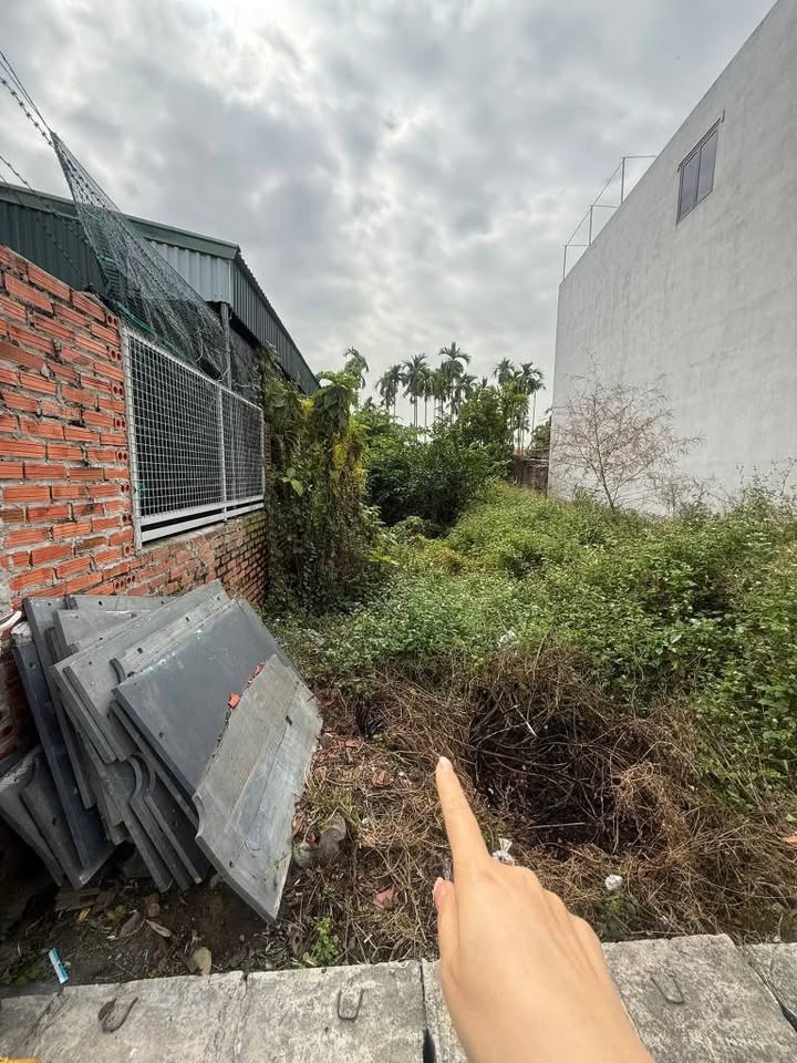 Đất thổ cư mặt đường Thôn Lâm Động, Hải Phòng 110m² giá chỉ 2.x tỷ - Cơ hội đầu tư tuyệt vời!