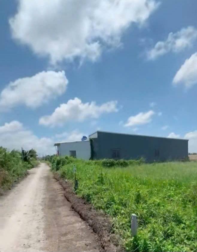 Đất nền ấp Phước Lợi, xã Mong Thọ B, 115m² chỉ 165 triệu - Cần bán gấp trong tuần!