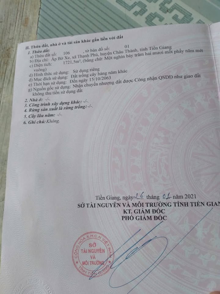 Đất vườn dừa 1700m² tại Thạnh Phú, Châu Thành - Đầu tư sinh lời hấp dẫn!