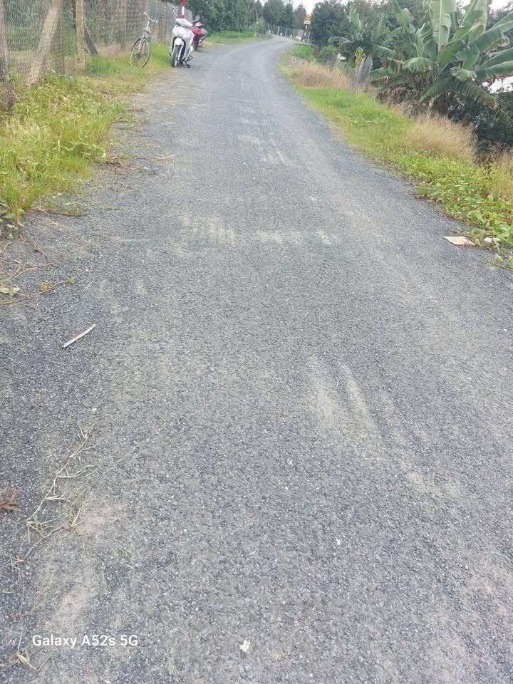 Đất vườn Nhơn Phú, Mang Thít 7500m² giá 4.65 tỷ - Tiềm năng trồng sầu riêng