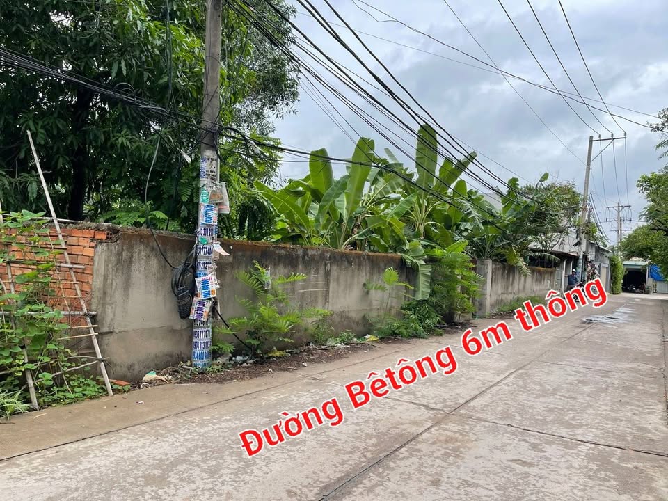 Đất sổ hồng riêng Bình Chánh 224m² giá 7.6 tỷ - Mặt tiền đường bêtông rộng rãi!