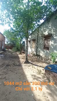 Đất nền An Viễn Trảng Bom 1000m² giá 3.1 tỷ - Cơ hội đầu tư hấp dẫn!