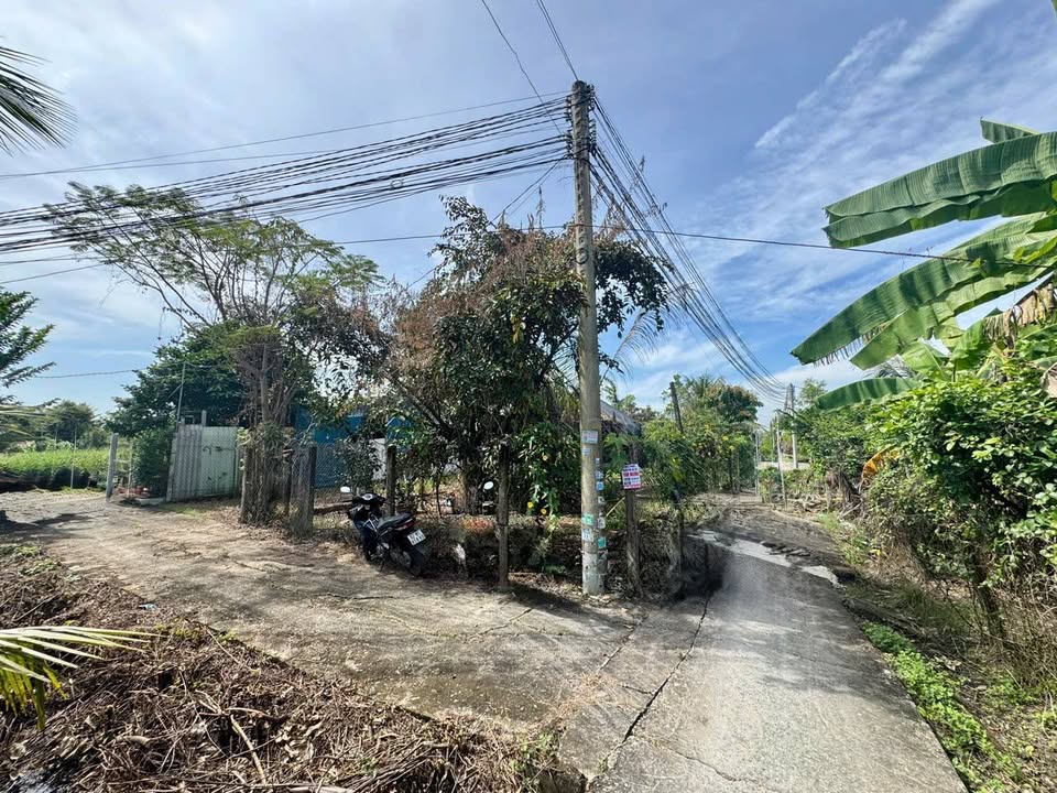 Đất OnT 127m² Mỹ Lộc, Cần Giuộc - Giá 850 triệu, Chính Chủ!