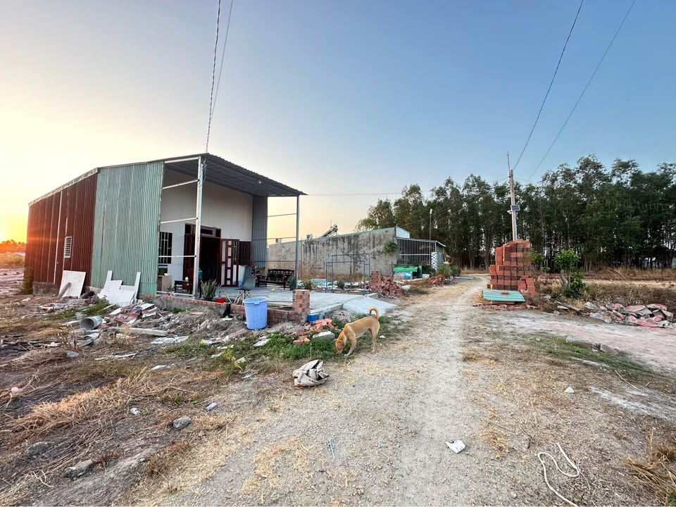 Đất nền 100m² tại Mỹ Xuân, Phú Mỹ chỉ 300 triệu - Cơ hội đầu tư tuyệt vời!