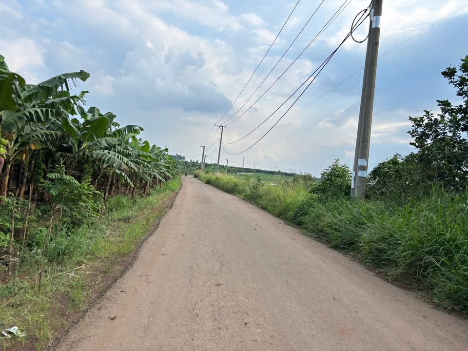 Đất nền 1000m² mặt tiền đường Hưng Bình 1, Trảng Bom - Giá chỉ 1.28 tỷ!