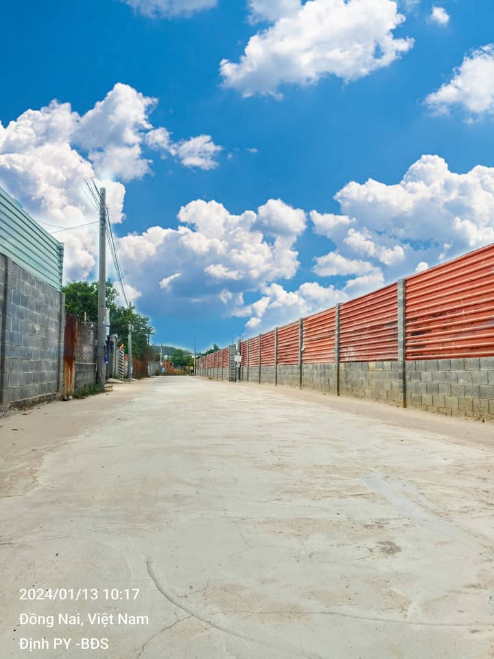 Đất nền 4000m² phường Tân Triều, Biên Hòa - Sổ hồng riêng, giá tốt thỏa thuận!