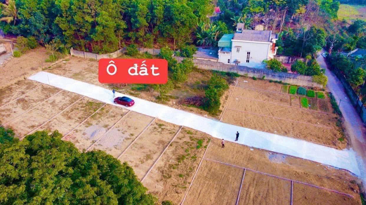 Đất thổ cư Phú Hộ 136m² giá 5xx - Đầu tư sinh lời ngay!