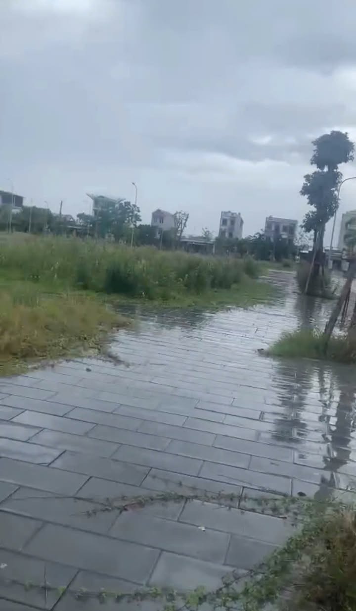 Đất nền KDC Tân Hưng, Lạng Giang 80m² giá 2 tỷ - Cơ hội đầu tư lý tưởng!