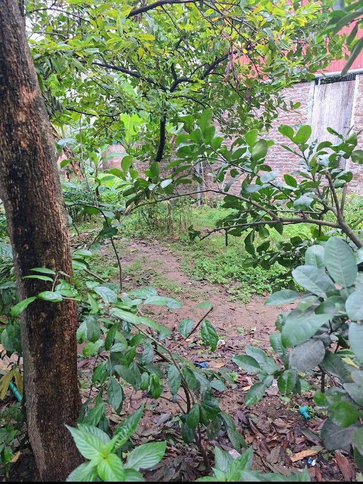 Đất nền An Thượng 51m² giá 4 tỷ - Sổ hồng chính chủ, giao dịch ngay!