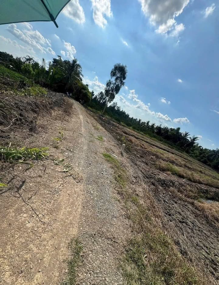 Đất thổ cư mặt tiền sông 1000m² giá chỉ 800 triệu - Cơ hội đầu tư tuyệt vời!