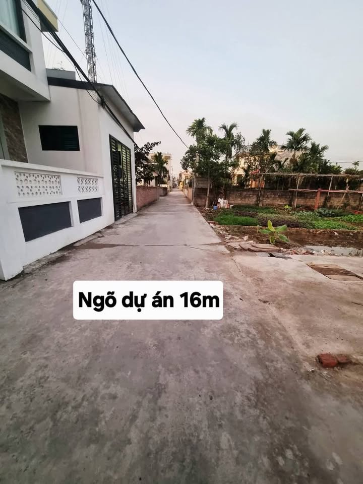 Đất lô góc 81m² Hồng Thái, An Dương giá 1.9 tỷ - Đầu tư sinh lời ngay!