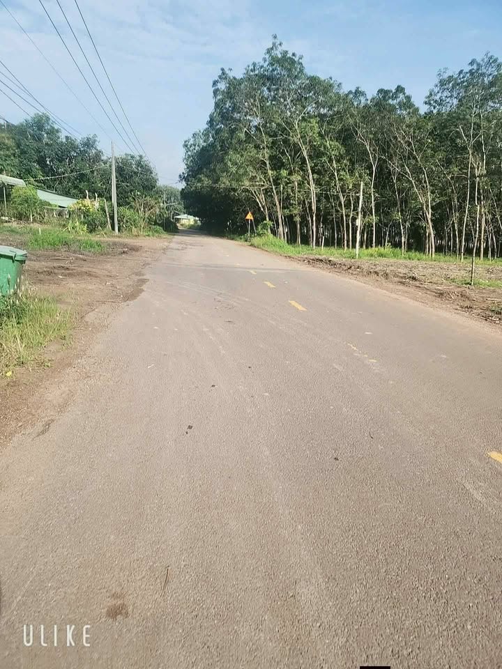 Đất nền chính chủ Tam Lập, Phú Giáo 580m² giá 2.15 tỷ - Cơ hội đầu tư sinh lời!