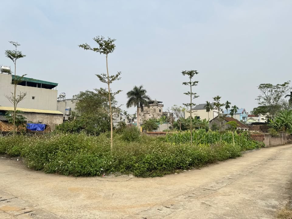 Đất thổ cư Tiến Xuân 175m² giá thỏa thuận - Ngay Ga Metro thuận tiện!