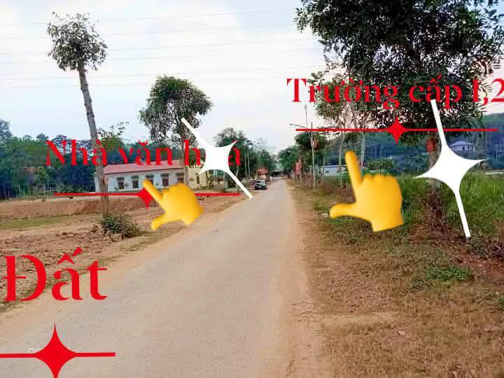 Đất đấu giá Cẩm Long, Cẩm Thủy 195m² - Giá thỏa thuận, cơ hội đầu tư hấp dẫn!