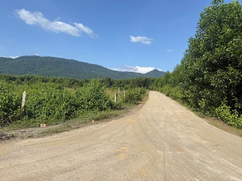 Đất Khánh Hiệp 1000m² giá thỏa thuận - Đường 32m, tách lô dễ dàng!