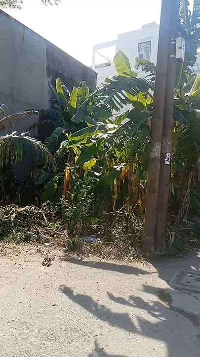 Đất 2 mặt tiền Quốc lộ 13, Thủ Đức 93m² giá 7 tỷ - Sổ hồng riêng chính chủ!