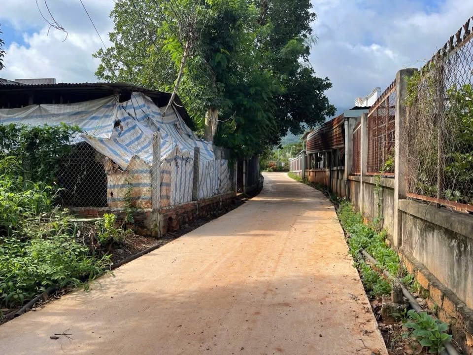 Đất nền Xuân Thành, Đồng Nai 137m² giá 499 triệu - Sổ hồng riêng, công chứng ngay!