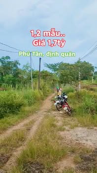 Đất nền Phú Tân, Định Quán 12.000m² giá 1.7 tỷ - Sổ đỏ chính chủ, đẹp bằng phẳng!