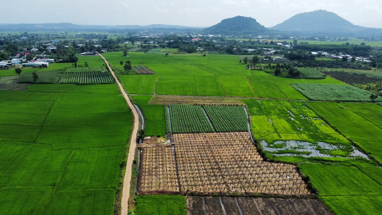 Đất nền Xuân Phú, Đồng Nai 3000m² giá thỏa thuận - Cơ hội đầu tư sinh lời!