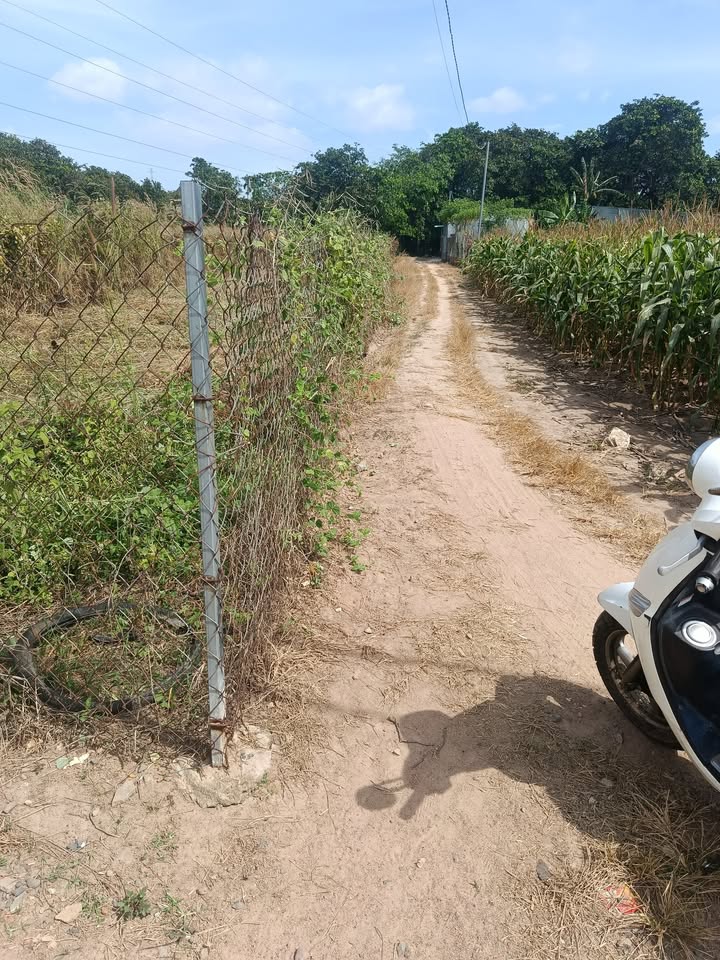 Đất nền Suối Cát, Xuân Lộc 180m² giá 250 triệu - Cơ hội đầu tư tuyệt vời!