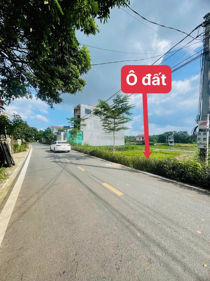 Đất quy hoạch nhà nước tại Đường Hồng Thái, Xuân Hòa, Lập Thạch 100m² - Giá chỉ 1.4 tỷ VND!