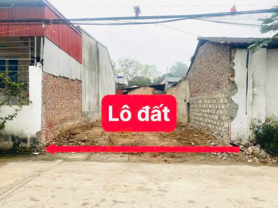 Đất thổ cư Hướng Đạo, Tam Dương 100m² chỉ 1.6 tỷ - Đầu tư sinh lời ngay!