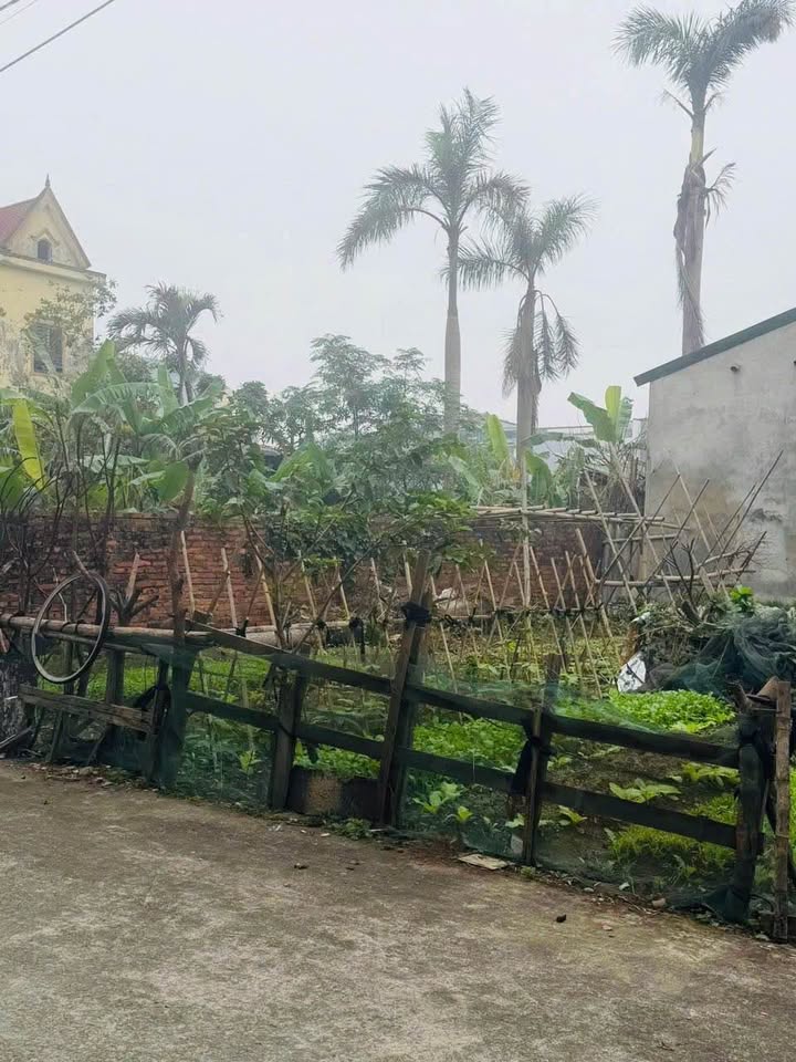 Đất nền khối Trung Nghĩa, Đông Vĩnh 87.7m² - Đầu tư sinh lời bền vững!