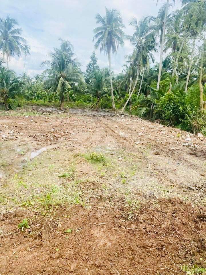 Đất nền Ngãi Tứ, Tam Bình 354m² giá 179 triệu - Cơ hội đầu tư tuyệt vời!